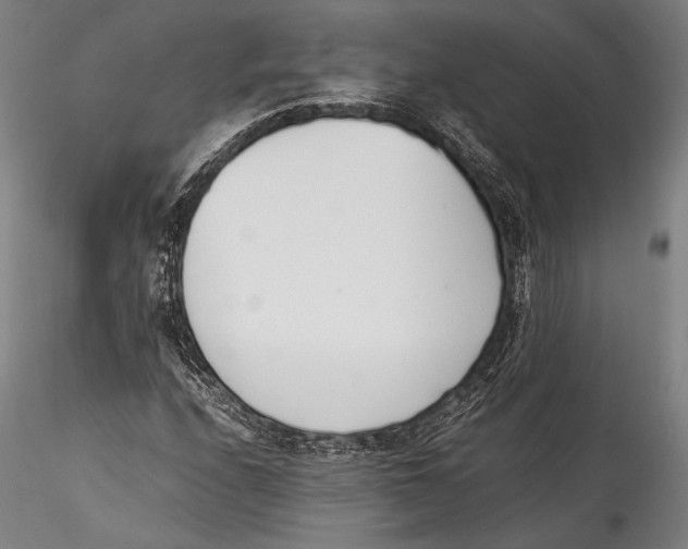 X0000115301208200911301506