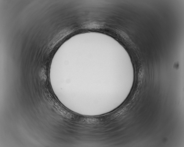 X0000115301209200911301506