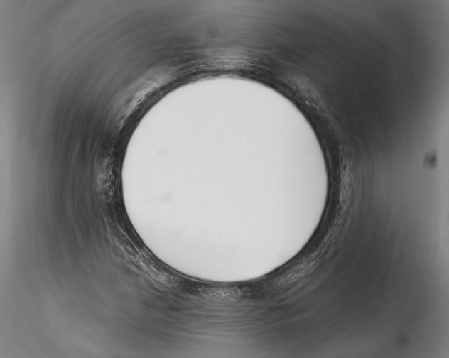 X0000115301210200911301506