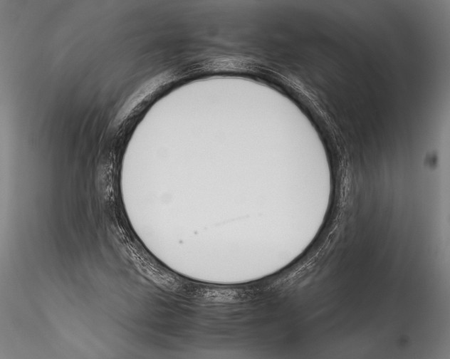 X0000115301211200911301506