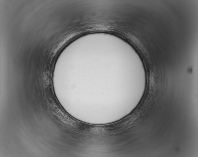 X0000115301212200911301506