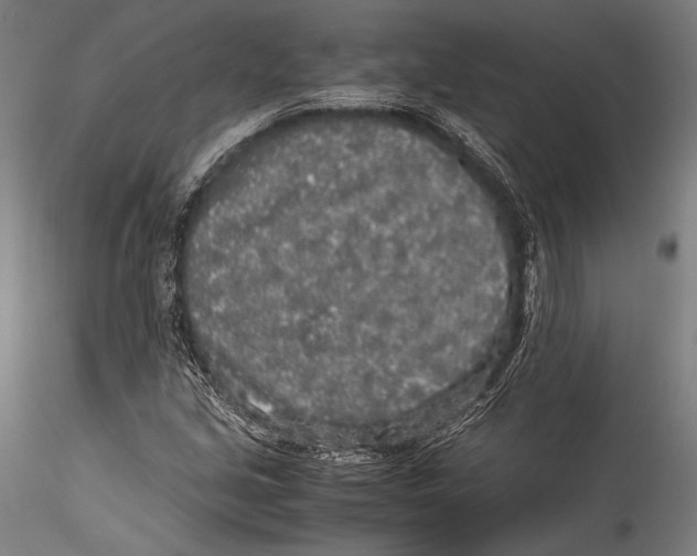 X0000115301213200911301506