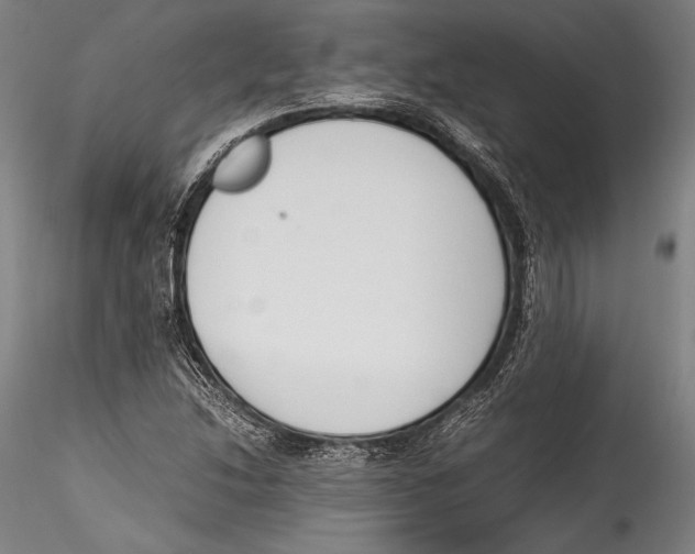 X0000115301214200911301506