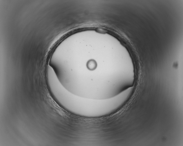 X0000115301216200911301506