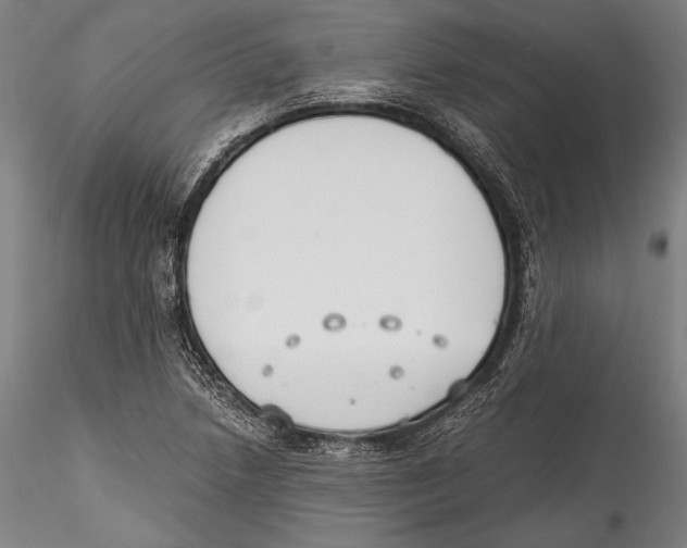 X0000115301218200911301506