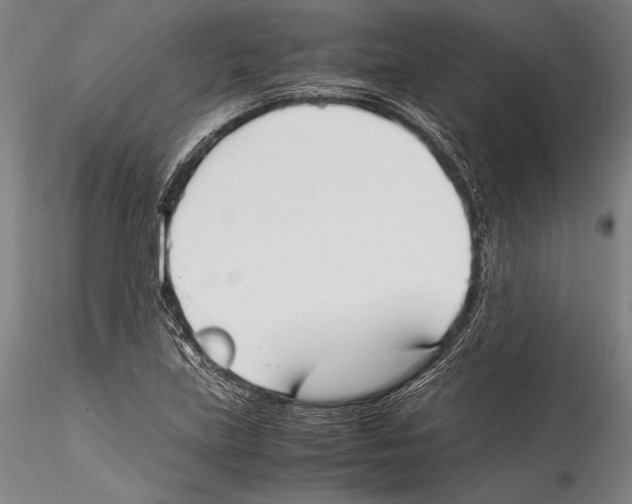 X0000115301219200911301506