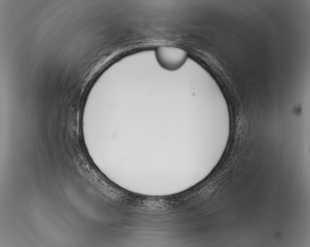 X0000115301220200911301506