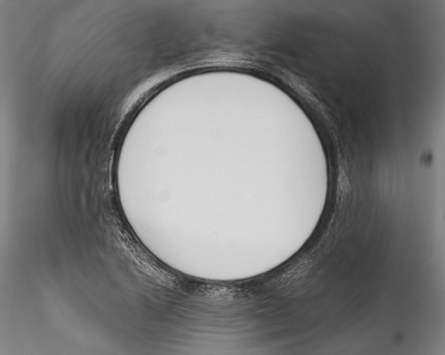 X0000115301222200911301506