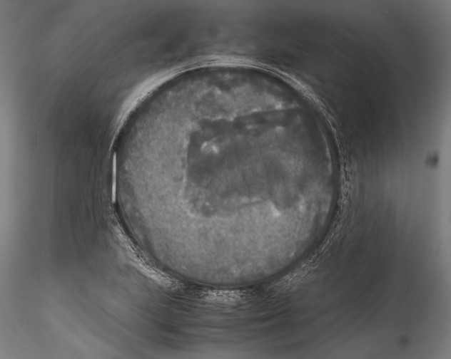 X0000115301223200911301506