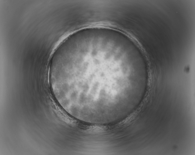 X0000115301224200911301506