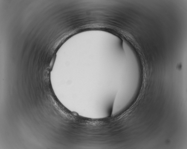 X0000115301225200911301506