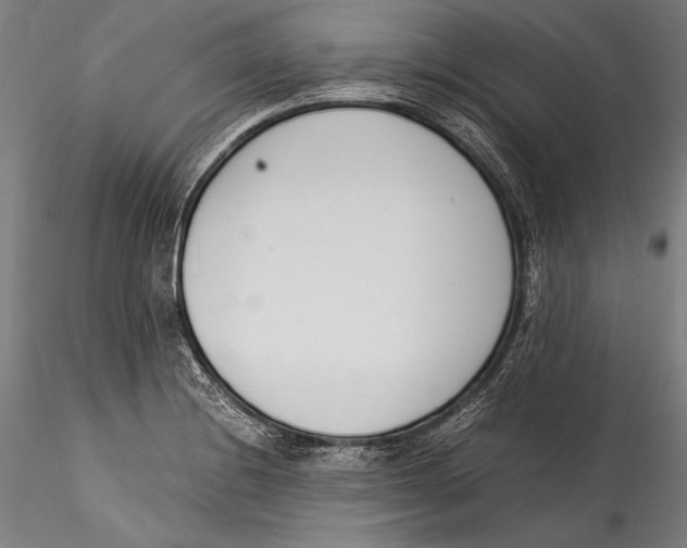 X0000115301228200911301506