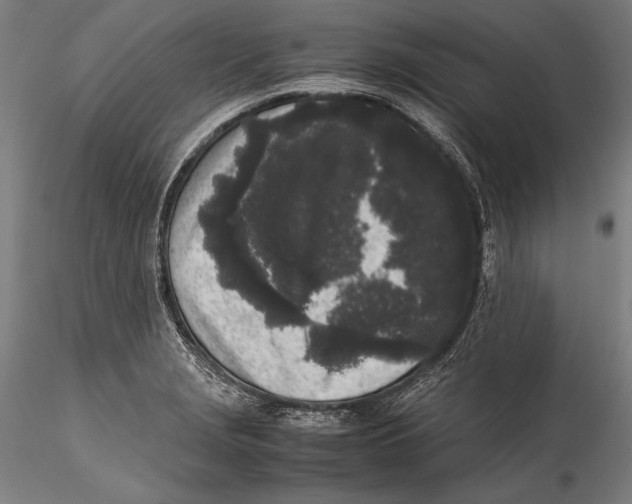 X0000115301229200911301506