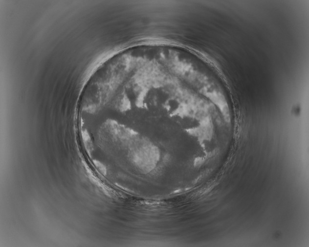 X0000115301231200911301506