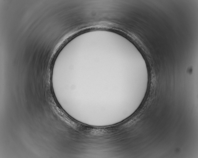 X0000115301232200911301506