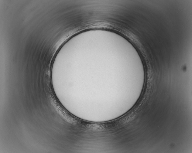 X0000115301234200911301506