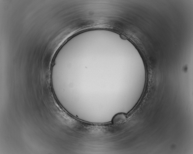 X0000115301236200911301506