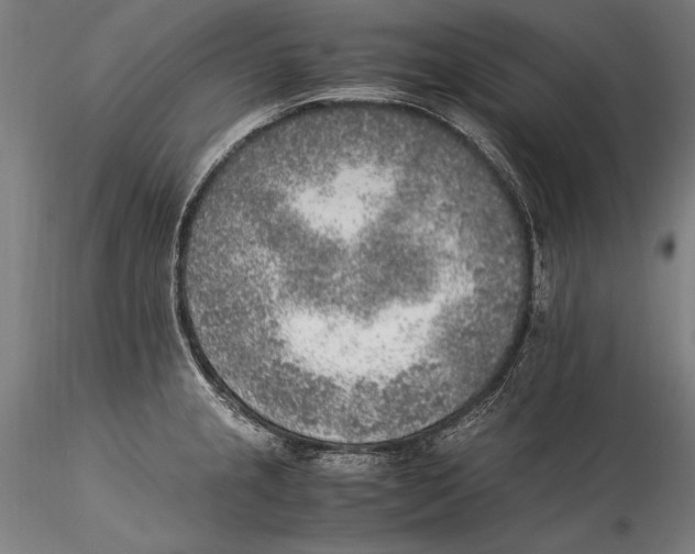 X0000115301237200911301506