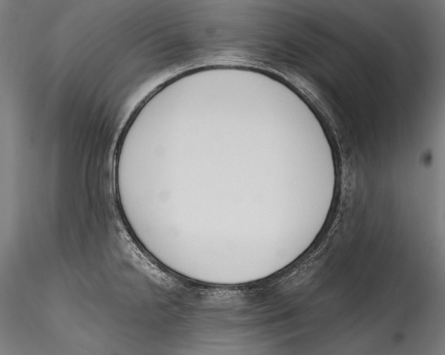 X0000115301238200911301506