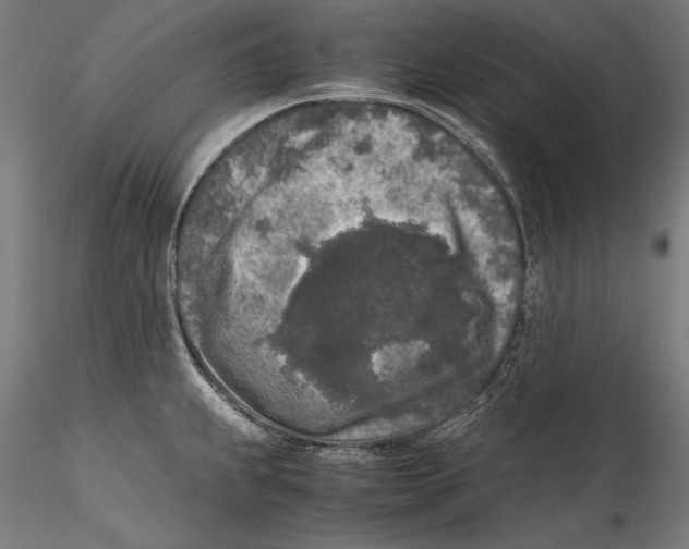 X0000115301239200911301506