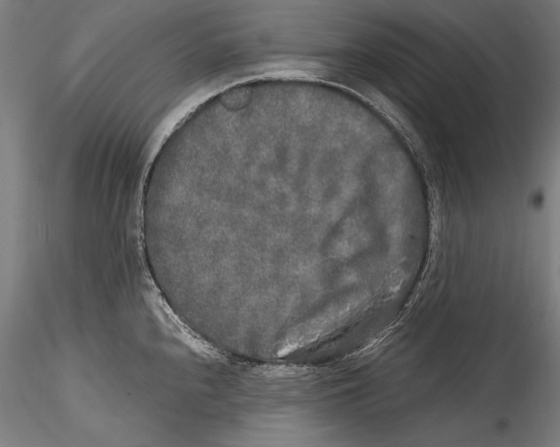 X0000115301240200911301506