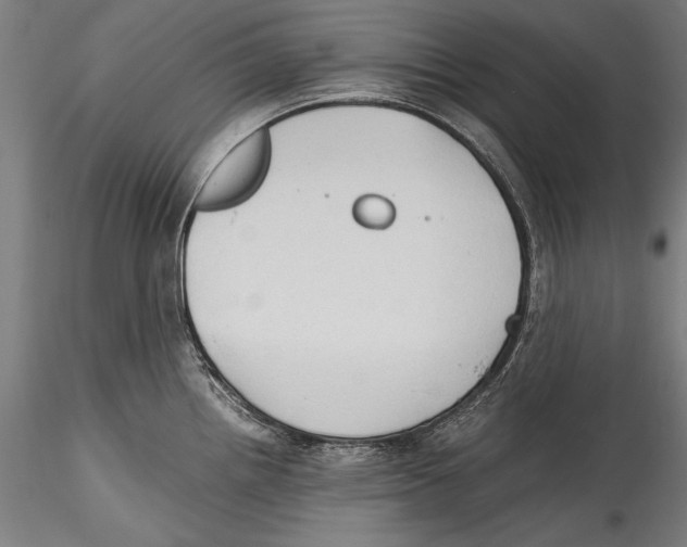 X0000115301242200911301506