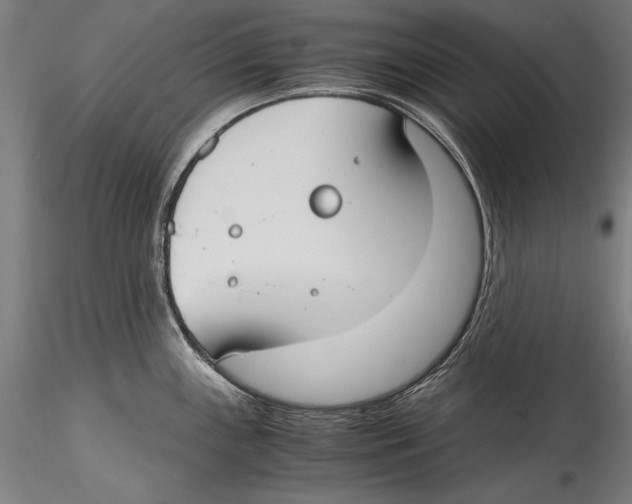 X0000115301243200911301506