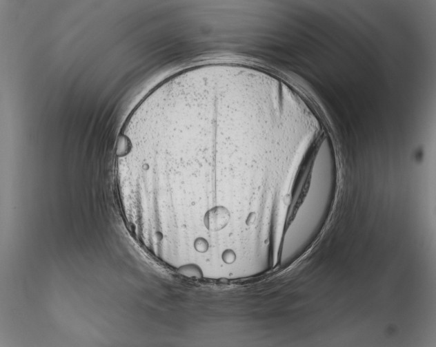 X0000115301244200911301506