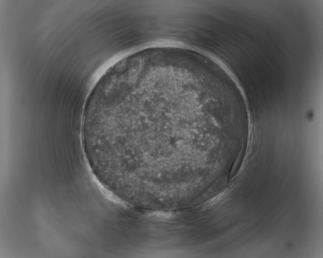 X0000115301245200911301506