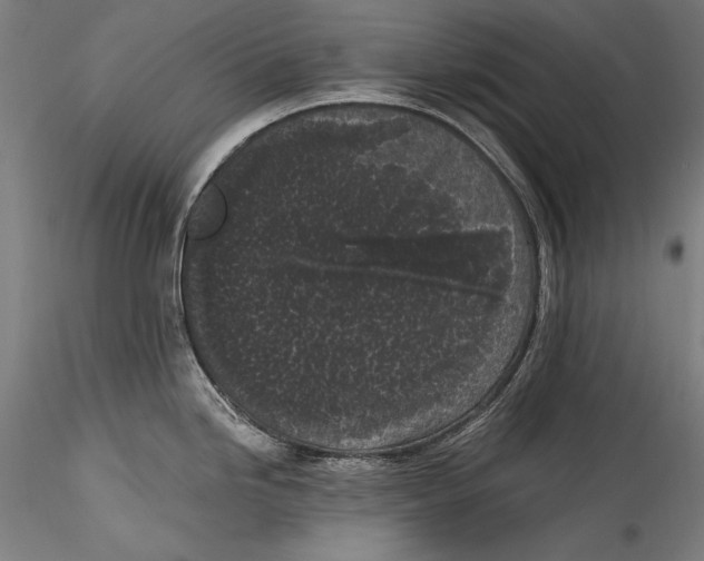 X0000115301246200911301506