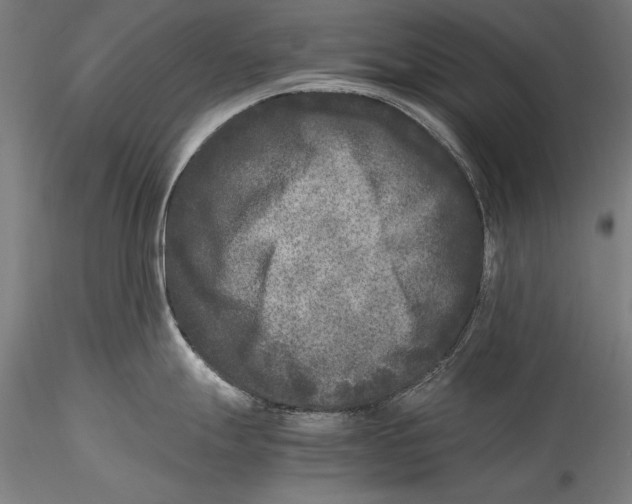 X0000115301247200911301506