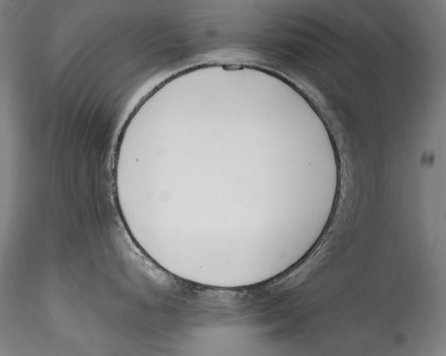 X0000115301248200911301506