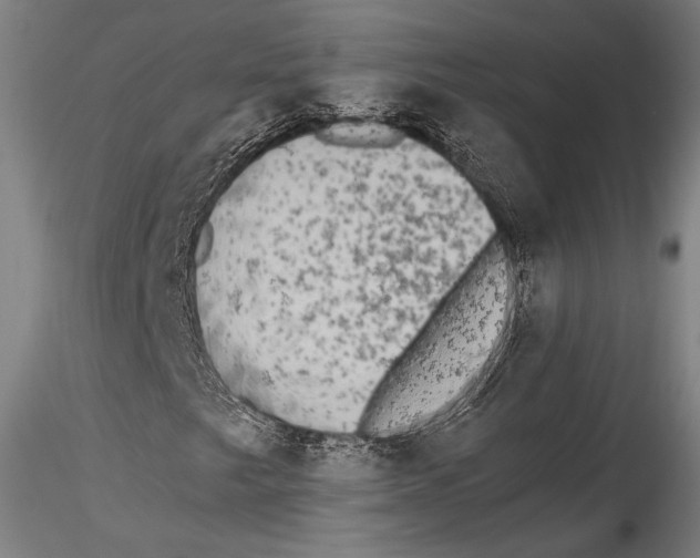 X0000115301249200911301505