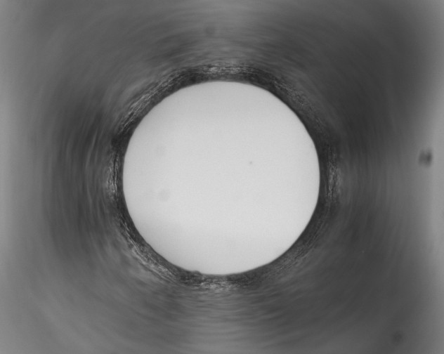 X0000115301250200911301505