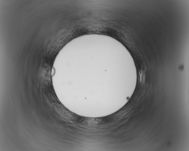 X0000115301251200911301505