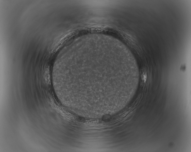 X0000115301252200911301505