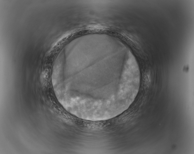 X0000115301254200911301505