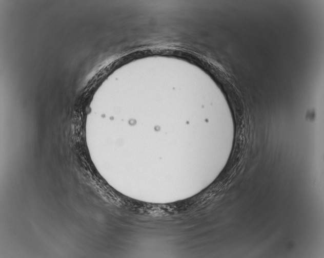 X0000115301255200911301505