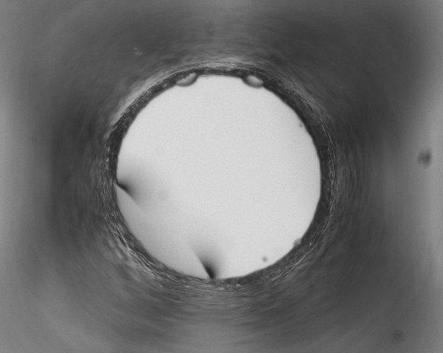 X0000115301256200911301505