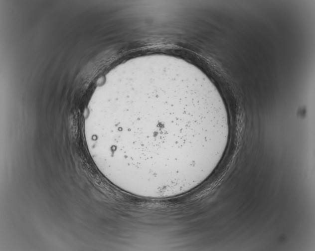 X0000115301257200911301505