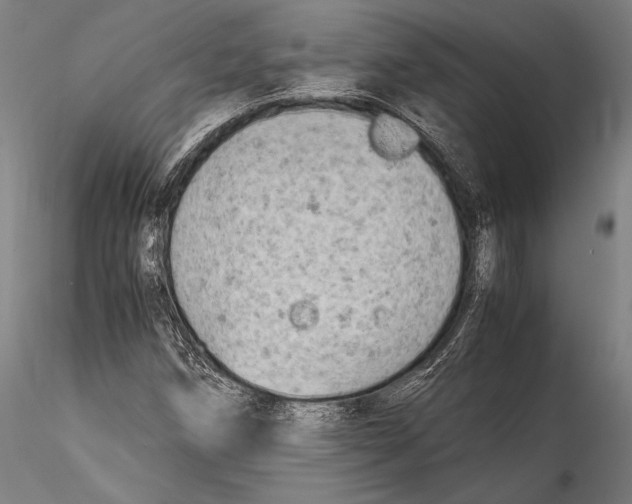 X0000115301258200911301505