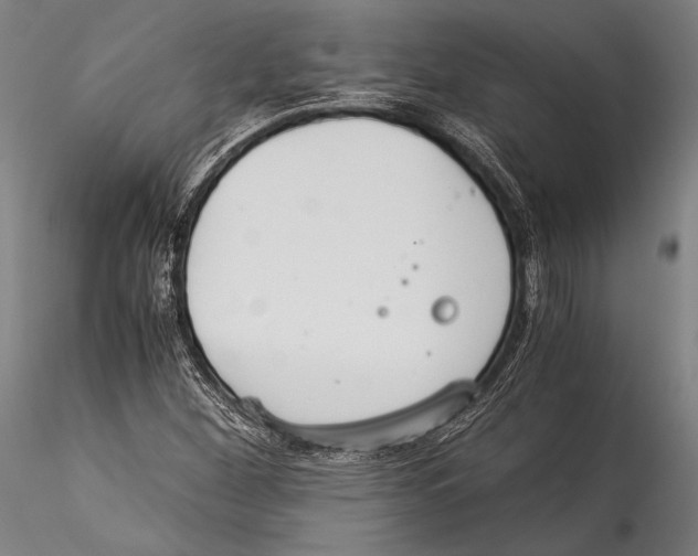 X0000115301260200911301505