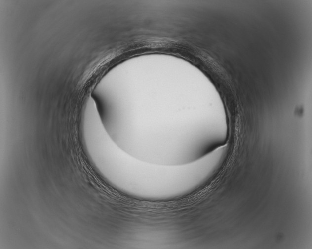 X0000115301261200911301505