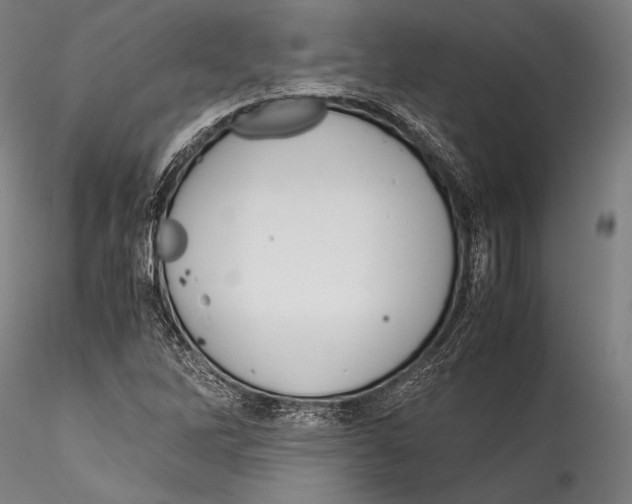 X0000115301262200911301505