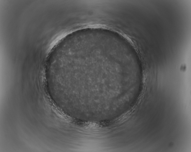 X0000115301263200911301505