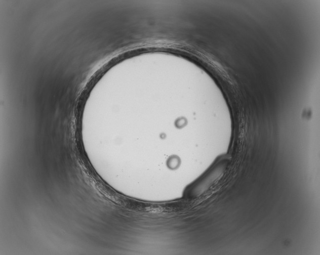 X0000115301264200911301505