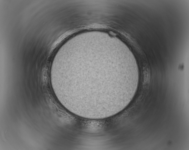 X0000115301266200911301505