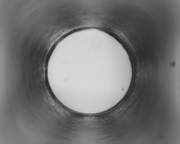 X0000115301268200911301505