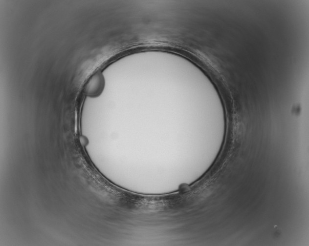 X0000115301269200911301505