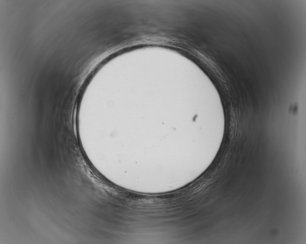 X0000115301272200911301505